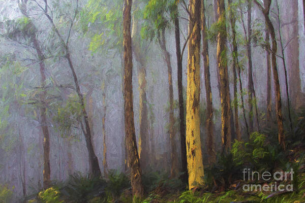 Mist Art Print featuring the photograph Mist in forest by Sheila Smart Fine Art Photography