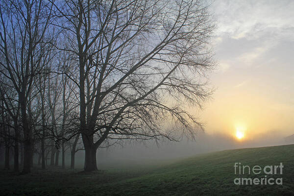 British English Countryside Landscape Art Print featuring the photograph Misty Dawn by Julia Gavin