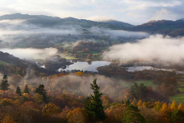 Elterwater Art Print featuring the photograph Misty Elterwater by Nick Atkin