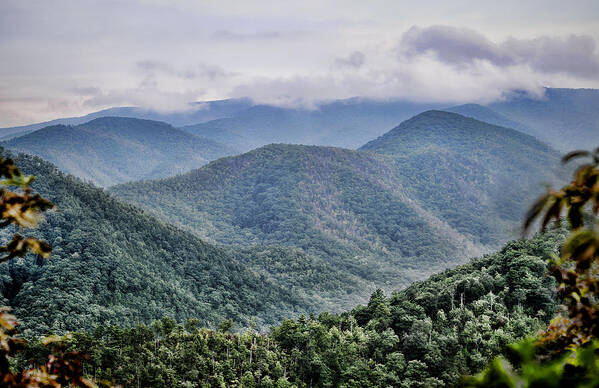 Smoky Mountains Art Print featuring the photograph Misty Morning by Heather Applegate