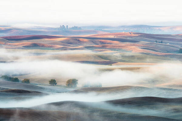 Layers Art Print featuring the photograph Misty Morning by Thien Nguyen