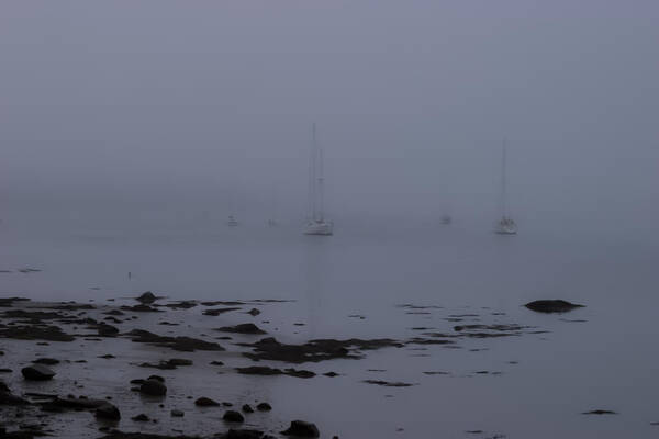 Sailboats In Fog Art Print featuring the photograph Misty sails upon the water by Jeff Folger