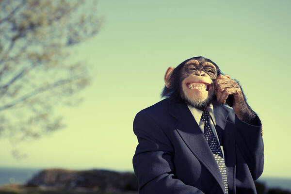 Corporate Business Art Print featuring the photograph Monkey Communication by RichVintage