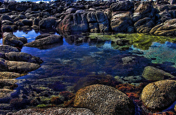 Ocean Art Print featuring the photograph Monterey Pool by Joe Bledsoe