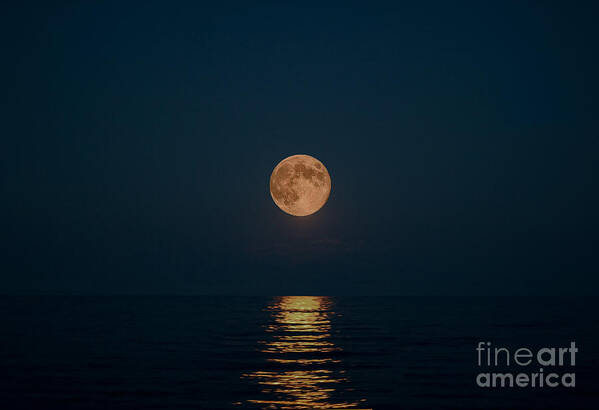 Blue Moon Art Print featuring the photograph Moon Over Lake Of Shining Waters by Barbara McMahon