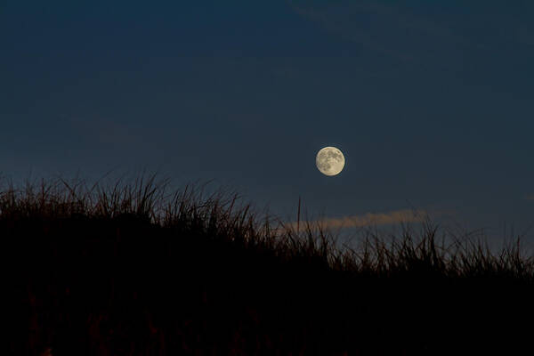 Moon Art Print featuring the photograph Moon over the Dunes by Brian Caldwell