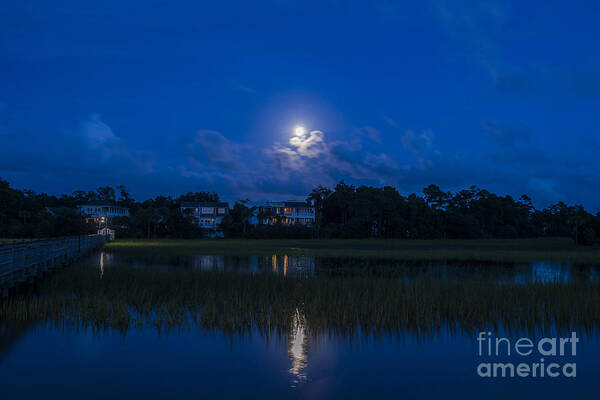 Moon Art Print featuring the photograph Moon Sky by Dale Powell