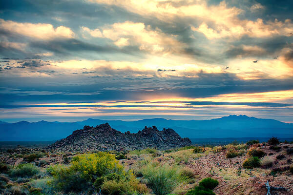 Fred Larson Art Print featuring the photograph Morning Desert Glow by Fred Larson