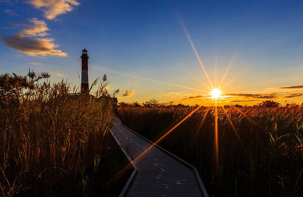 Marsh Art Print featuring the photograph Morning in the Marsh by Sean Mills