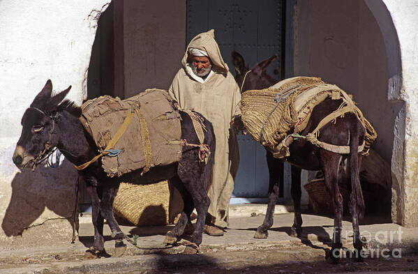 Africa Art Print featuring the photograph Moroccan Muleteer - Chechaouen Morocco by Craig Lovell