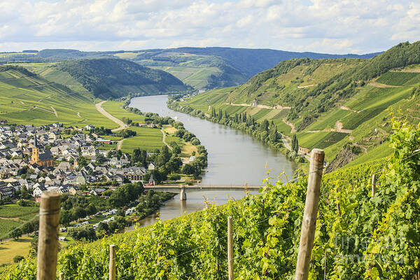 Beauty Art Print featuring the photograph Mosel area by Patricia Hofmeester