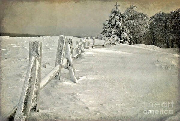 Snow Art Print featuring the photograph Mother Nature's Christmas Tree by Lois Bryan