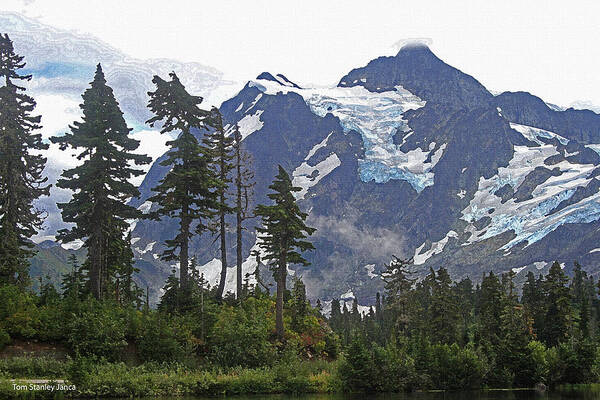 Mount Baker Art Print featuring the photograph Mount Baker And Fir Trees And Glaciers And Fog by Tom Janca