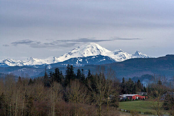 Abbotsford Art Print featuring the photograph Mount Baker from Abbotsford by Michael Russell