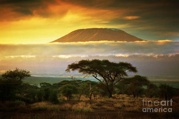 Africa Art Print featuring the photograph Mount Kilimanjaro Savanna in Amboseli Kenya by Michal Bednarek