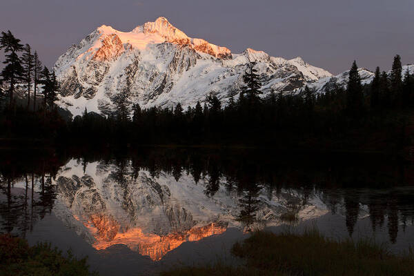 Alpenglow Art Print featuring the photograph Mount Shuksan Alpenglow by Michael Russell