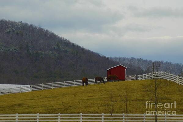 Mountains Art Print featuring the photograph Mountain Farm by Tracy Rice Frame Of Mind