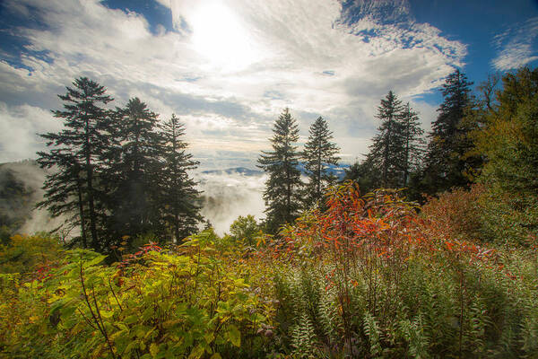 Landscape Art Print featuring the photograph Mountain Light by Doug McPherson