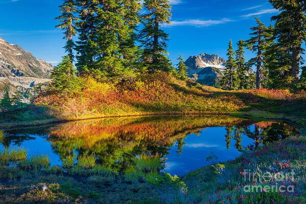 America Art Print featuring the photograph Mt Baker Tarn in Fall by Inge Johnsson