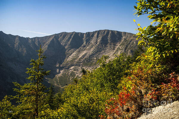 Mt. Katahdin Art Print featuring the photograph Mt. Katahdin from Hamlin Ridge by Alana Ranney