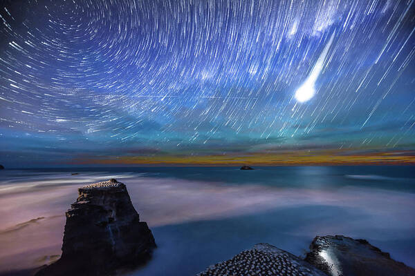 Tranquility Art Print featuring the photograph Muriwai Startrails by Mike Mackinven