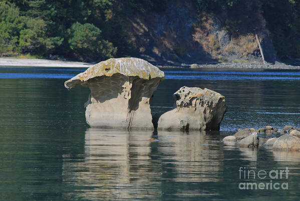 Mushroom Rock Art Print featuring the photograph Mushroom Rock by Tracey Levine