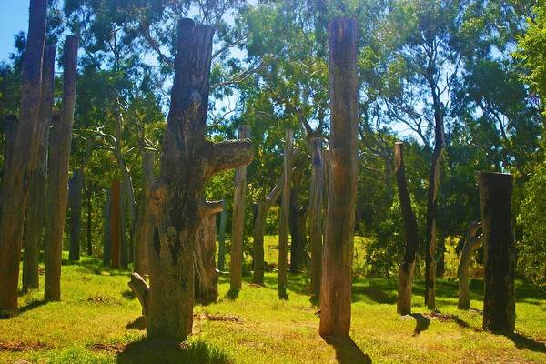 Totem Art Print featuring the photograph Mysterious Totems by Mark Blauhoefer