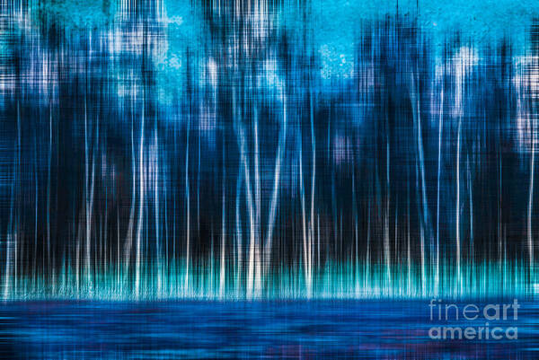 Birch Art Print featuring the photograph Mystic Forest by Hannes Cmarits