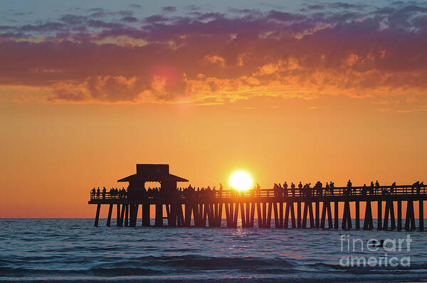 Naples Art Print featuring the photograph Naples Pier Dippin' by Alicia Mick