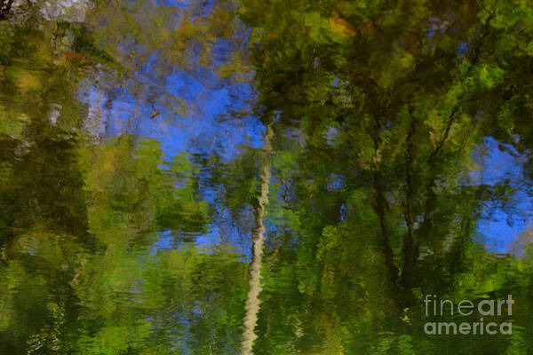 Nature Art Print featuring the photograph Nature Reflecting by Melissa Petrey