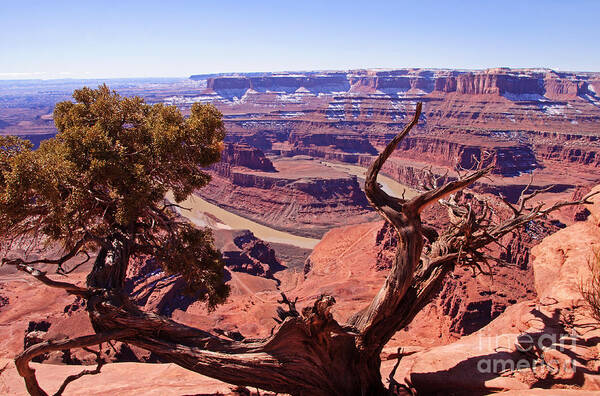 Bob And Nancy Kendrick Art Print featuring the photograph Nature's Frame - Dead Horse Point by Bob and Nancy Kendrick