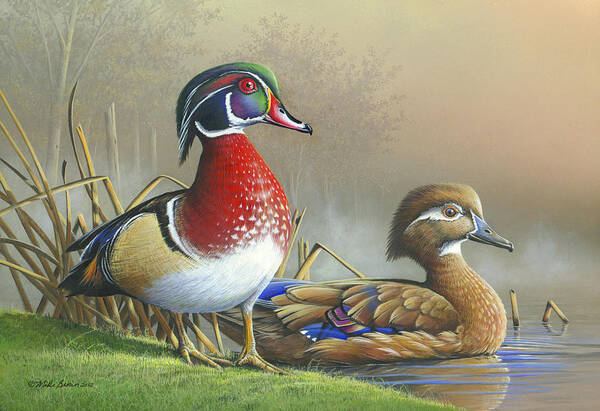 Wood Ducks Art Print featuring the painting Nature's Palette by Mike Brown