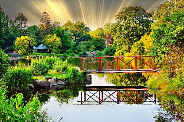 Park Art Print featuring the photograph Nature's Reflections by Judy Palkimas