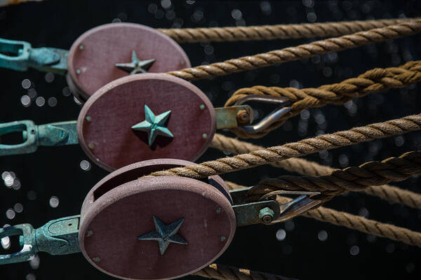 Rope Art Print featuring the photograph Nautical Ties by Karol Livote