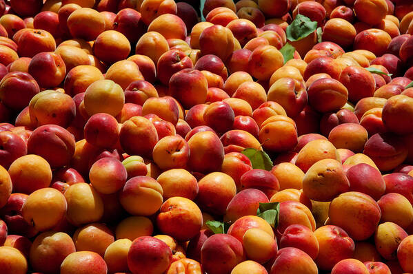 Photography Art Print featuring the photograph Nectarines For Sale At Weekly Market by Panoramic Images