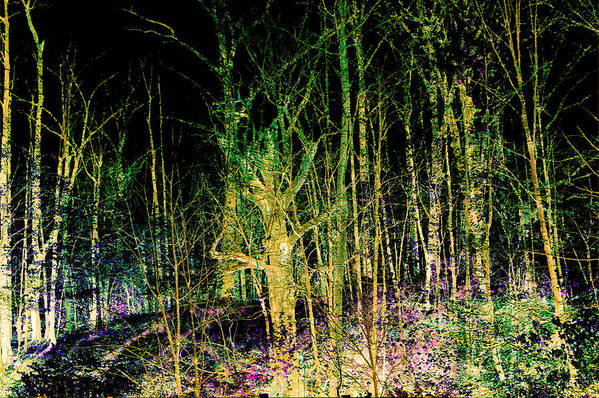 Trees Art Print featuring the photograph Negative Forest by David Yocum