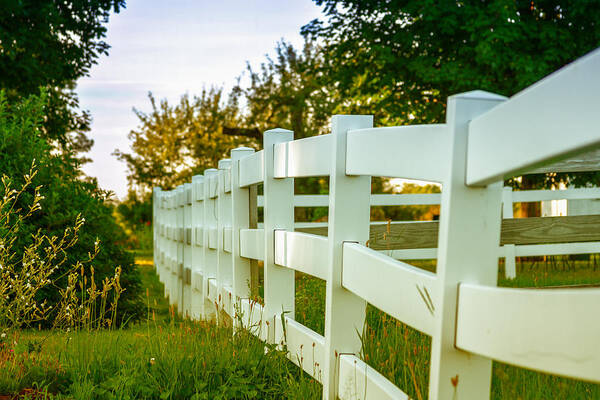 Fence Art Print featuring the photograph New England Fenceline by Brian Caldwell