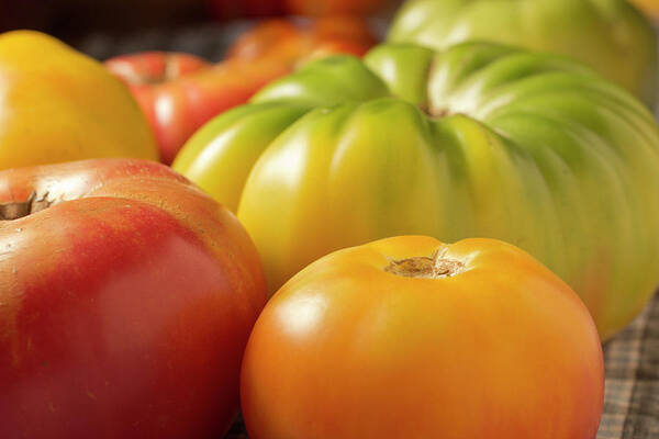 Season Art Print featuring the photograph New Jersey Heirloom Tomatoes by Brian Yarvin
