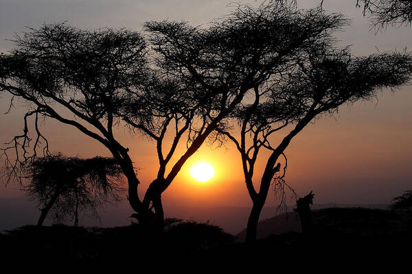Sunrise Art Print featuring the photograph Ngorongoro Sunset II by Dawn J Benko