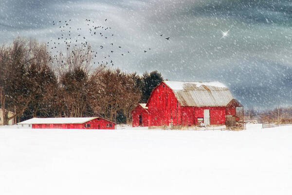 Red Barns. Trees. Woods. Forest. Night Sky. Stormy Sky. Snow. Starts. Fields Nature. Wildlife. Birds. Geese. Mallards. Ducks. Landscape. Winter Landscape. Snow Landscape. Photography. Digital Art. Texture. Canvas. Print. Poster. Greeting Card. Christmas Card. Art Print featuring the photograph Night's Snow Dust by Mary Timman