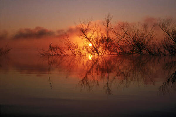 Astronomy Art Print featuring the photograph North Carolina Sunrise by Frederica Georgia