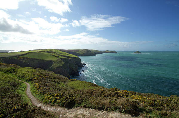 Scenics Art Print featuring the photograph North Cornwall Coast Path, England by Dr T J Martin
