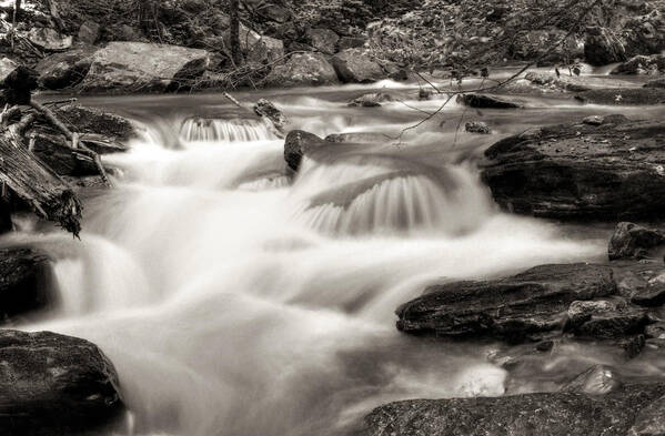 Waterfall Art Print featuring the photograph North Georgia Mountains Creek by Greg and Chrystal Mimbs