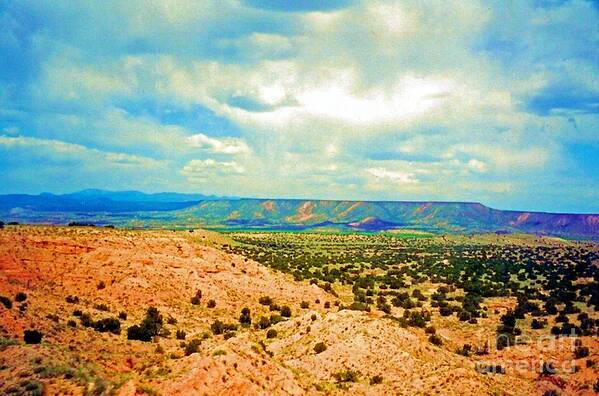 Northern Colorado Art Print featuring the photograph Northern Colorado by Desiree Paquette