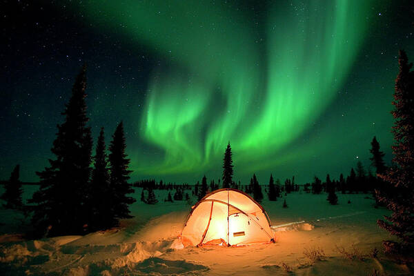 00600969 Art Print featuring the photograph Northern Lights Over Tent by Matthias Breiter