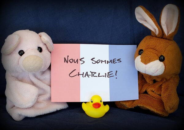 Tricolore Art Print featuring the photograph Nous Sommes Charlie by Piggy      