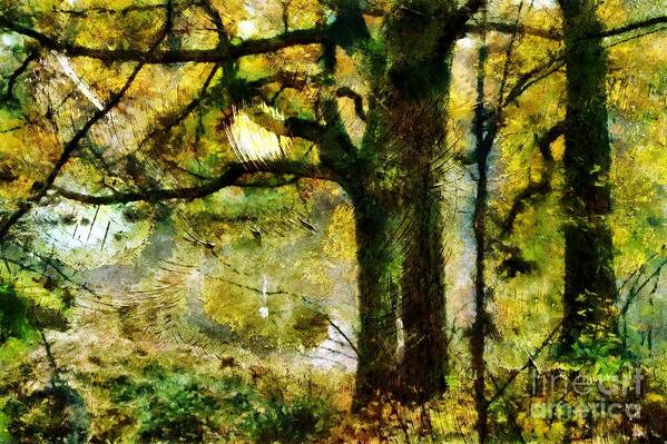 Autumn Art Print featuring the photograph Oak Trees by Dariusz Gudowicz