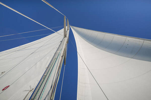 Sails Art Print featuring the photograph Obsession Sails 1 by Scott Campbell