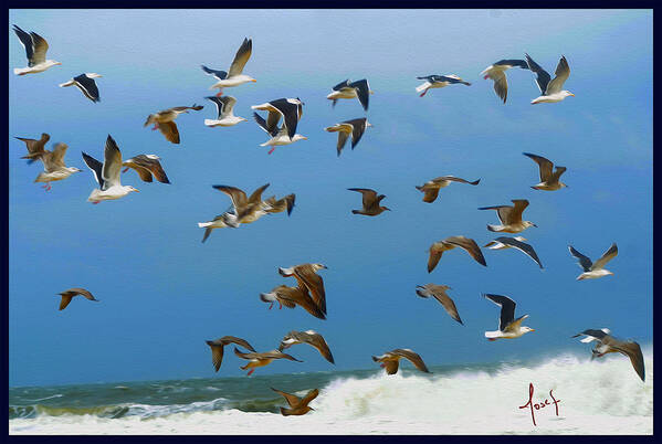 Seagulls Art Print featuring the painting October Gulls by Josef Kelly