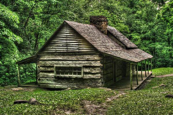 Cabin Art Print featuring the photograph Ogle Cabin by Cindy Haggerty